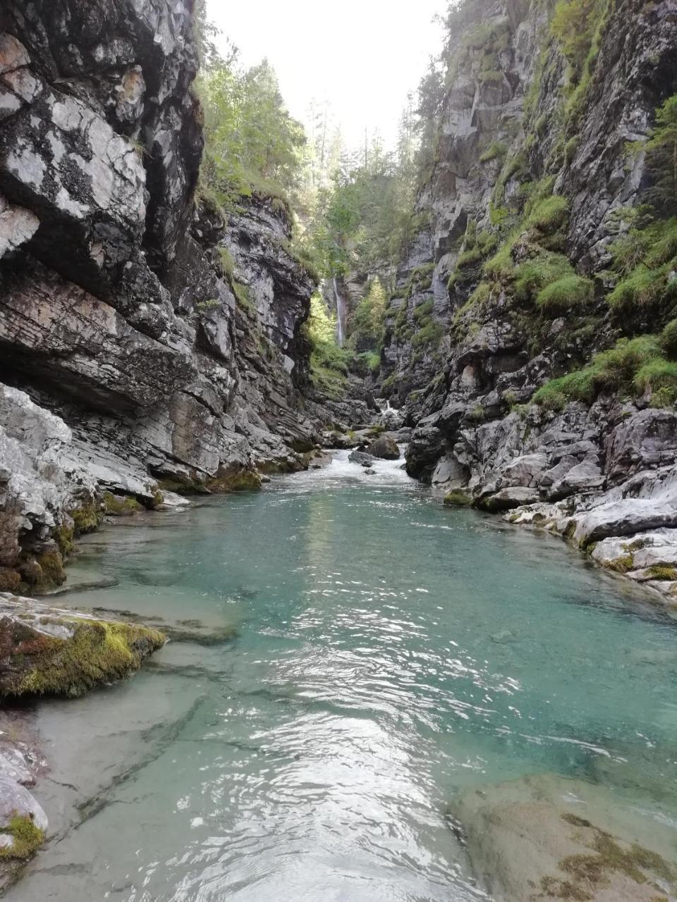 Gaestehaus Alpenblick Берванг Экстерьер фото
