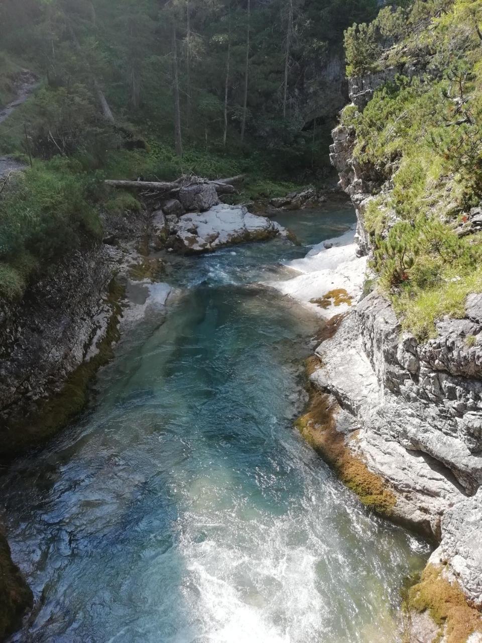 Gaestehaus Alpenblick Берванг Экстерьер фото